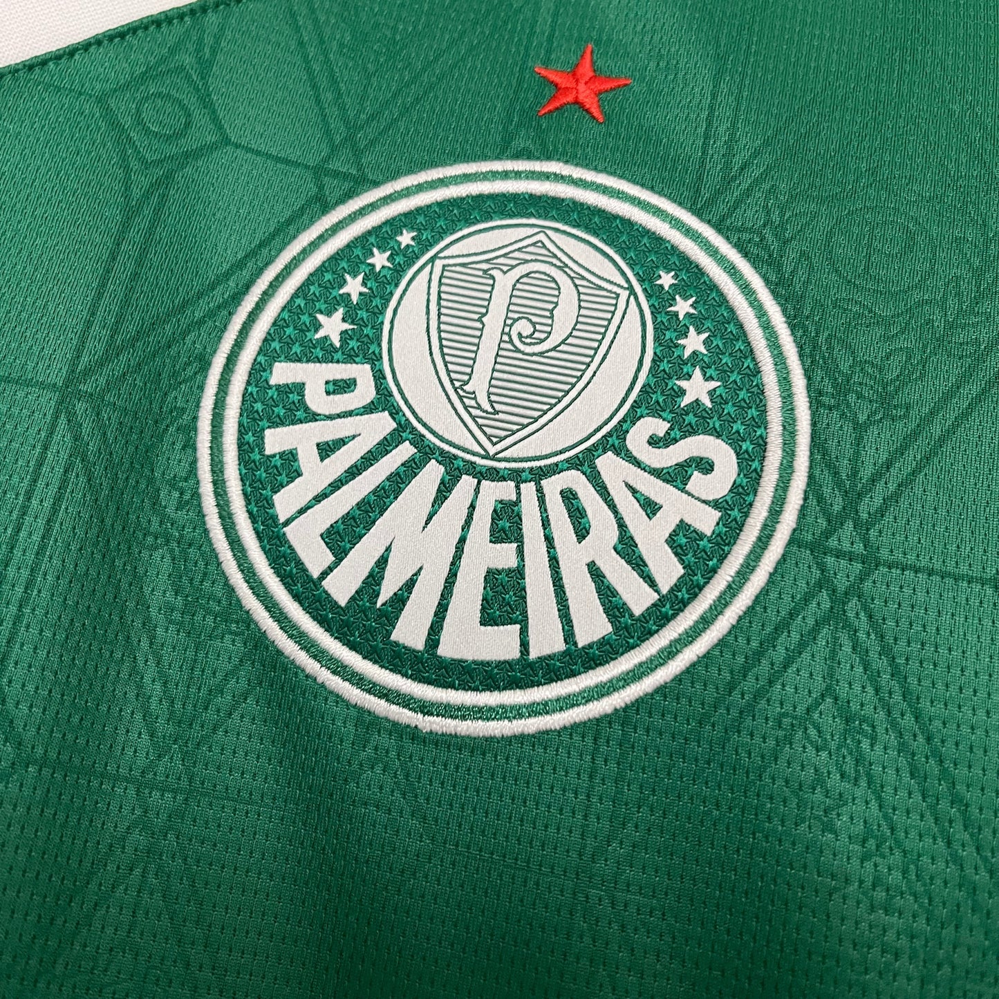 2025-26 Palmeiras home S-4XL