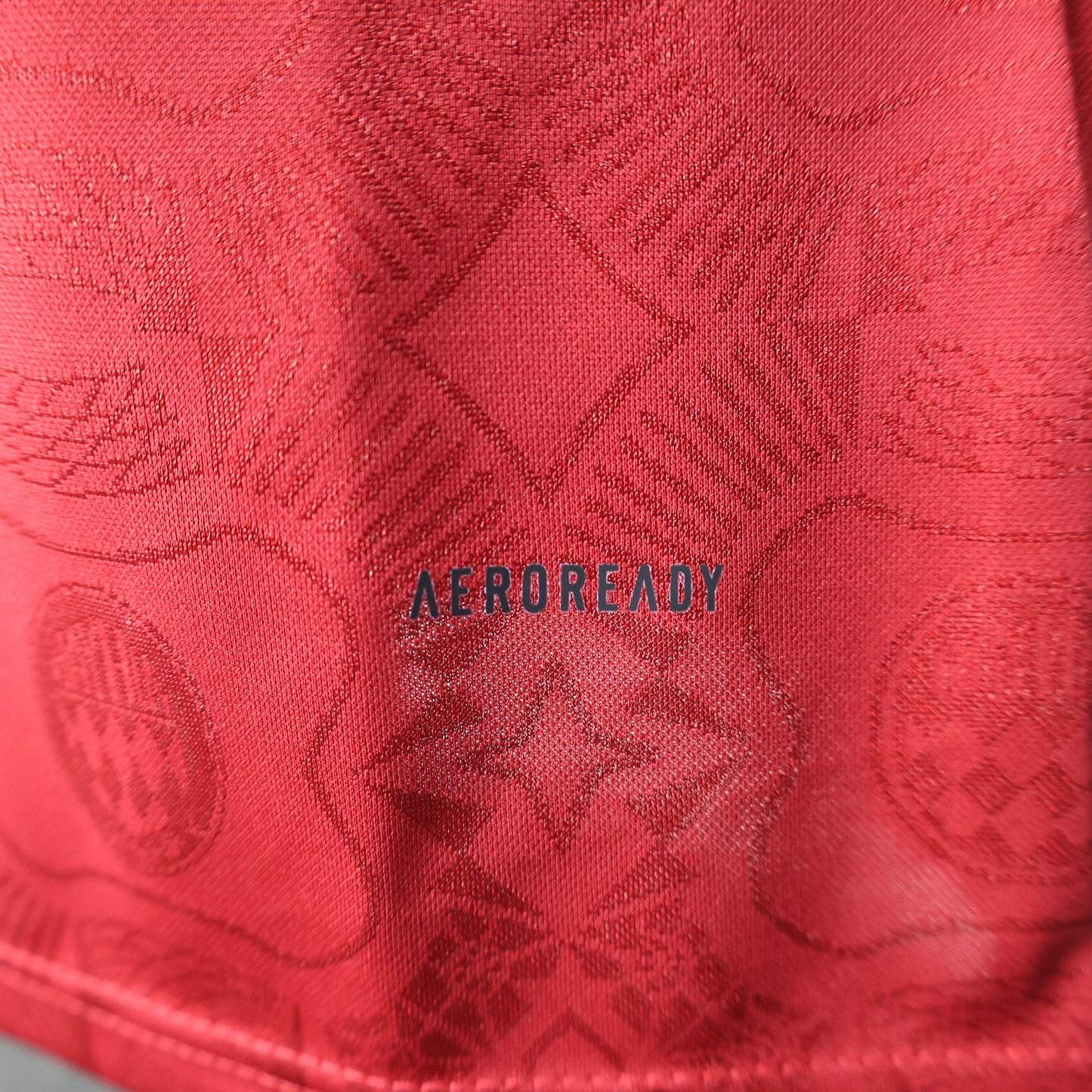 2025-26 Bayern Munich 125th Anniversary Edition Long Sleeve