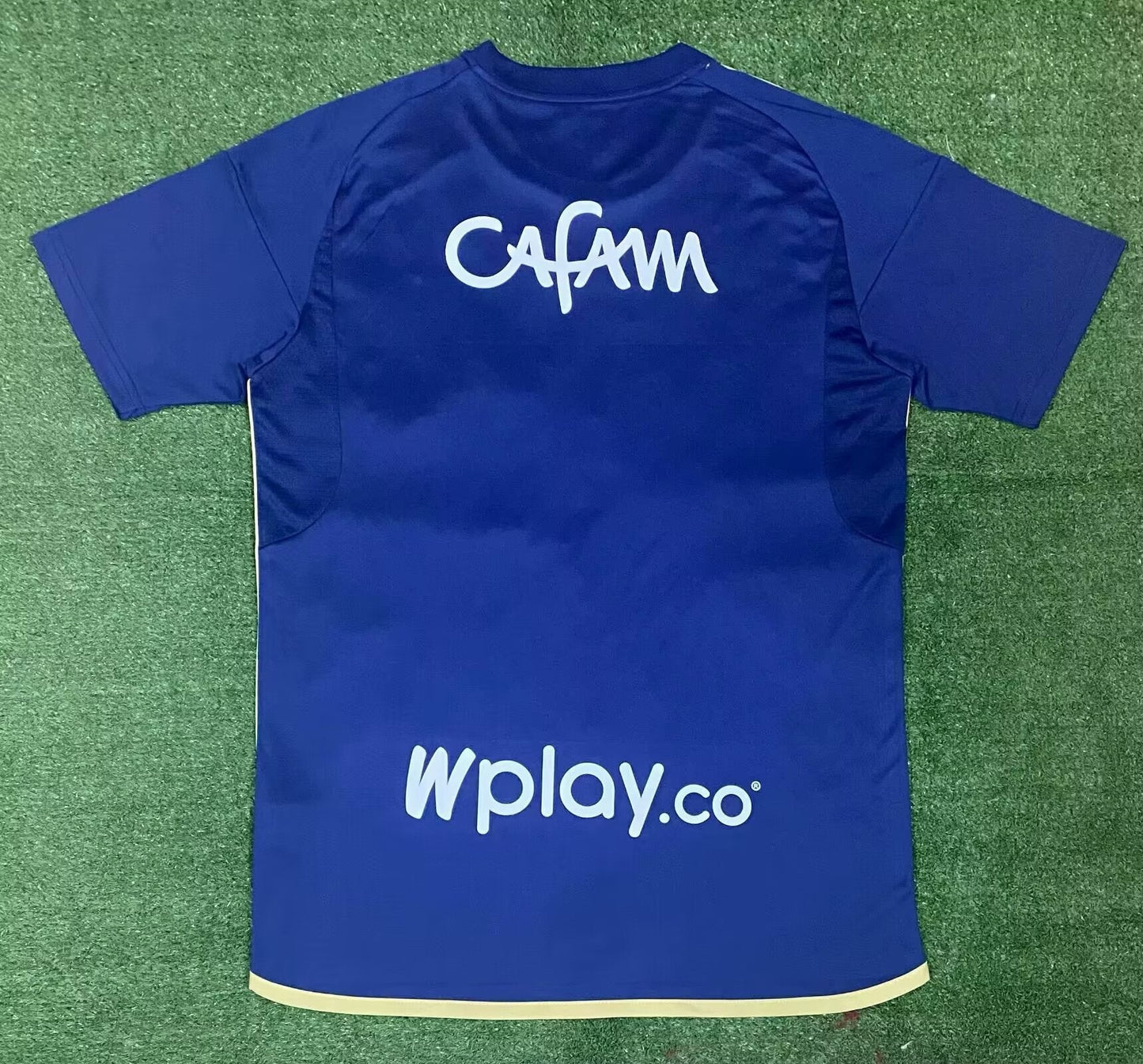 2024-25 hoffenheim