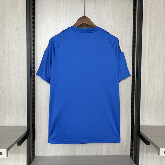 2024-25 Argentinian blue and white