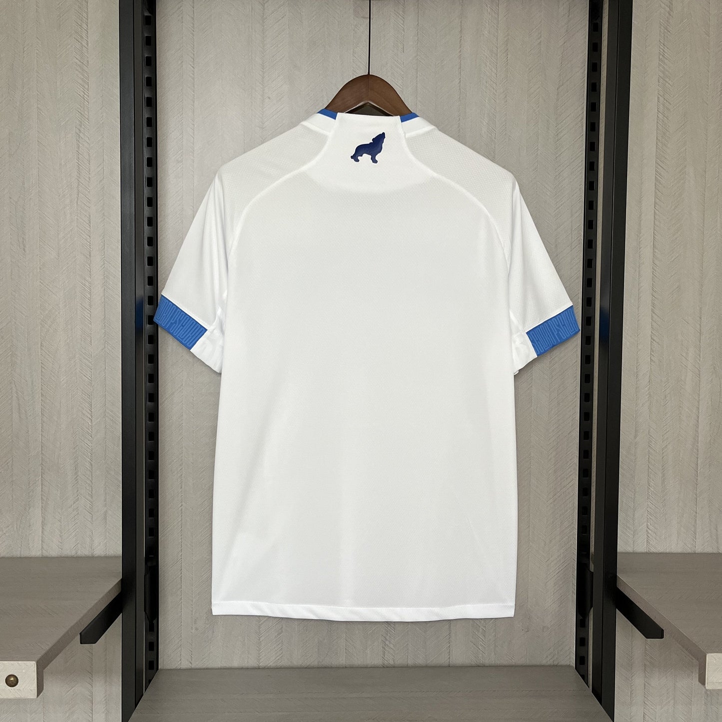 2024-25 Palmeiras home