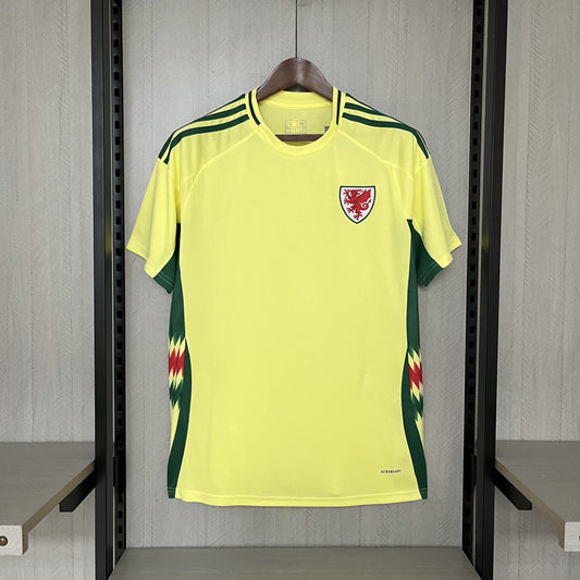 2024-25 Wales Away