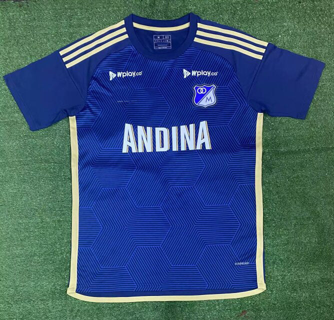 2024-25 hoffenheim