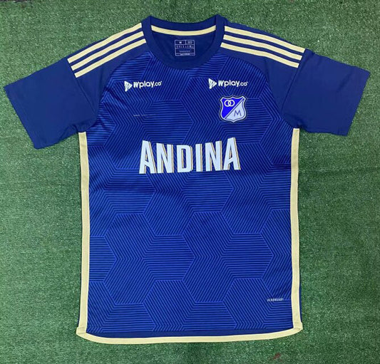 2024-25 hoffenheim