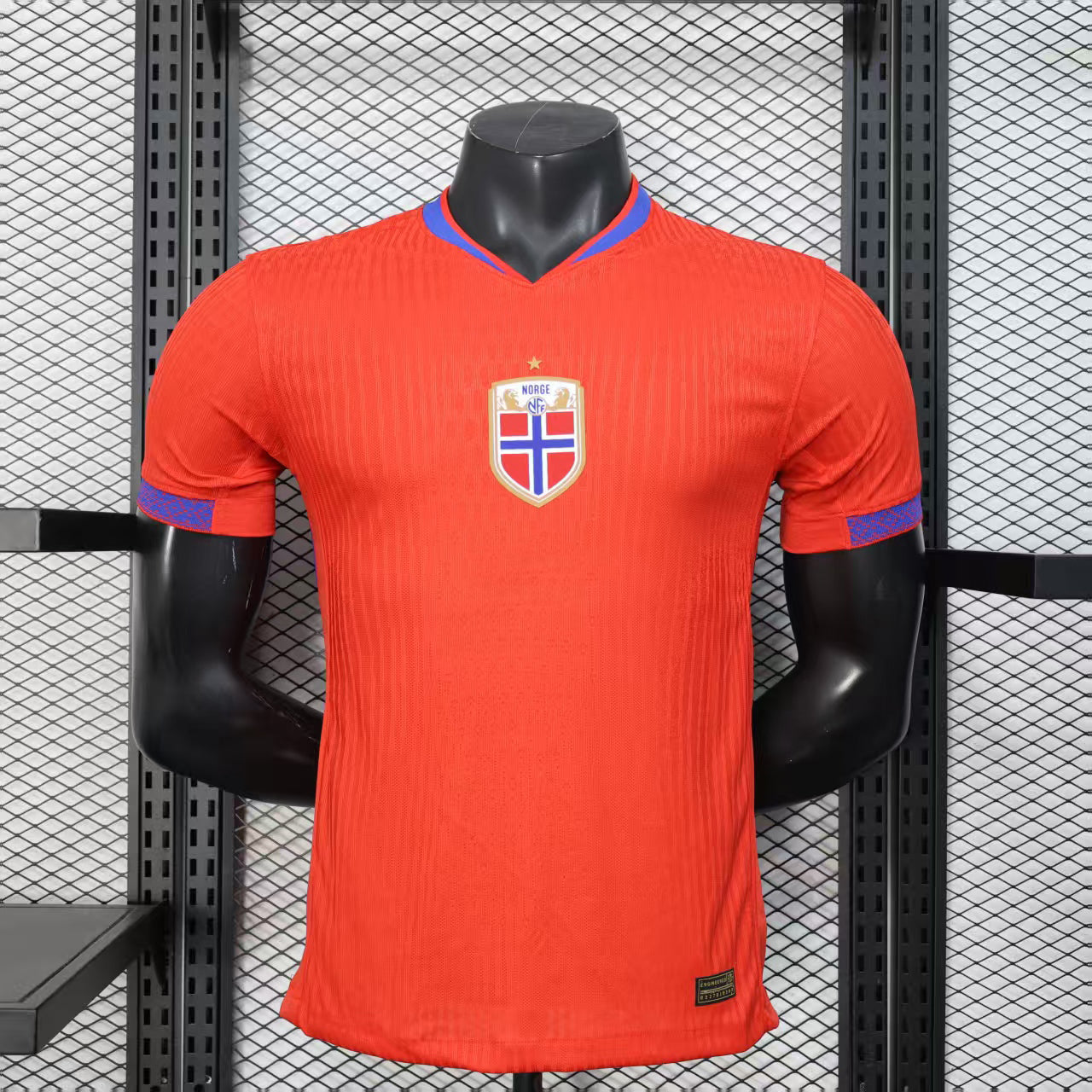 2025-26 Norway home Player