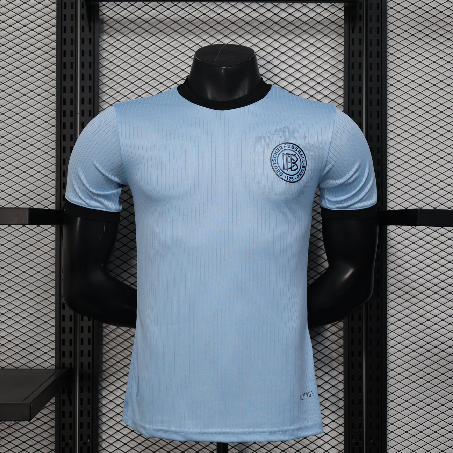 2025-26 Germany DFB 125-year Anniversary Blue Player