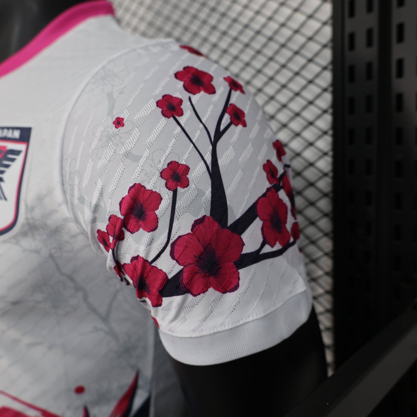 2025-26 Japan Special Player