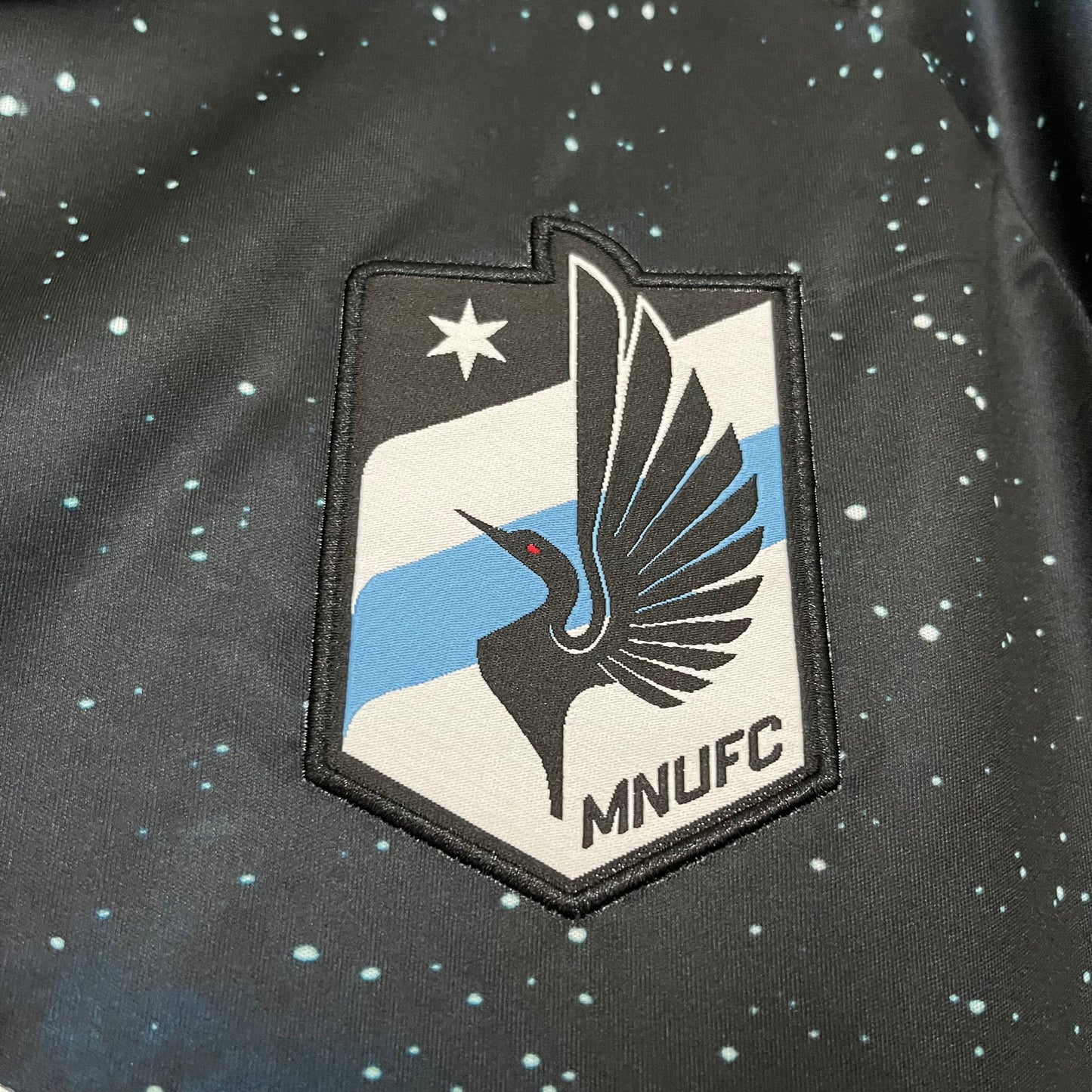 2024-25 Minnesota Home