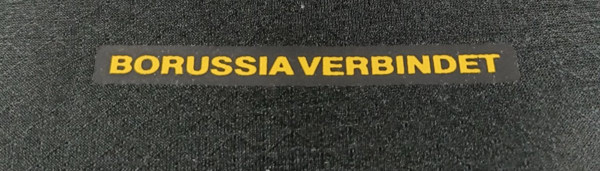 2026-27 Borussia Dortmund Away Black Player S-2XL
