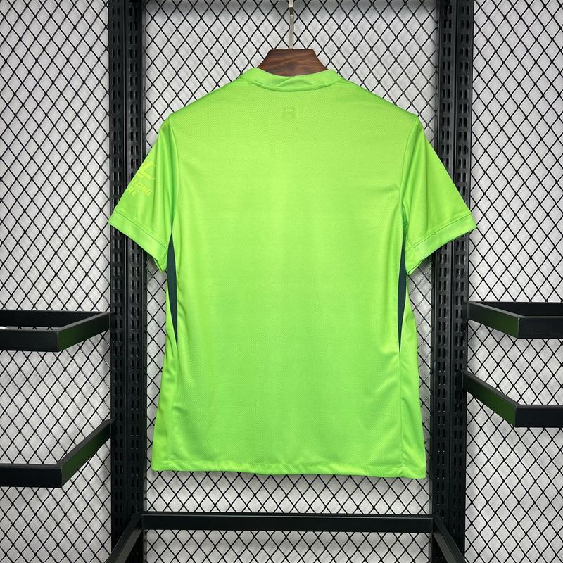 2024-25 Wolfsburg Home
