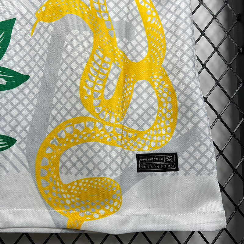 2024-25 Inter Milan  Special Edition