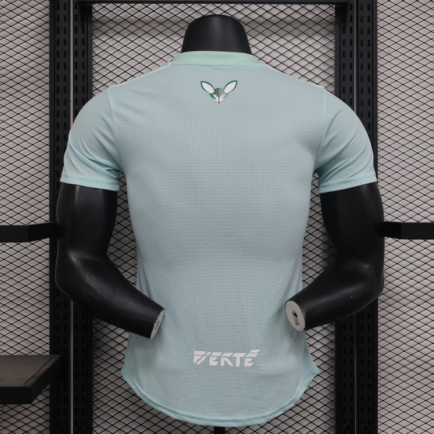 2024-25 Algeria light Green Player