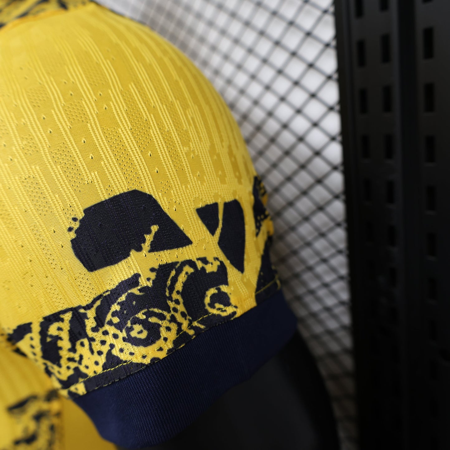 2024-25 Inter Milan Second Away Player