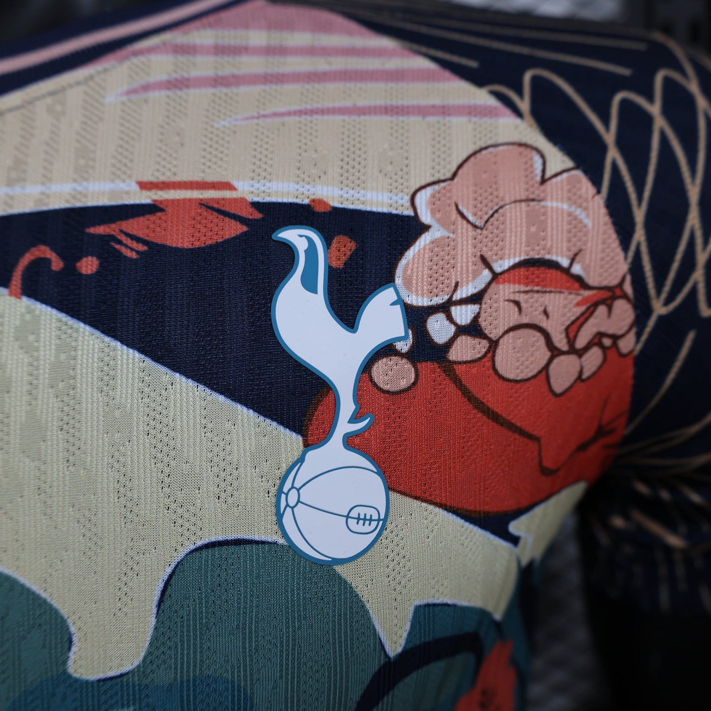 2024-25 Tottenham Hotspur Special Player