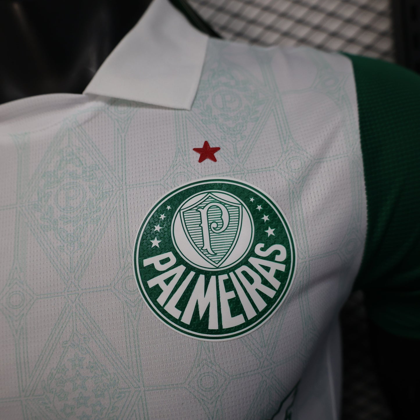 2025-26 Palmeiras away Player