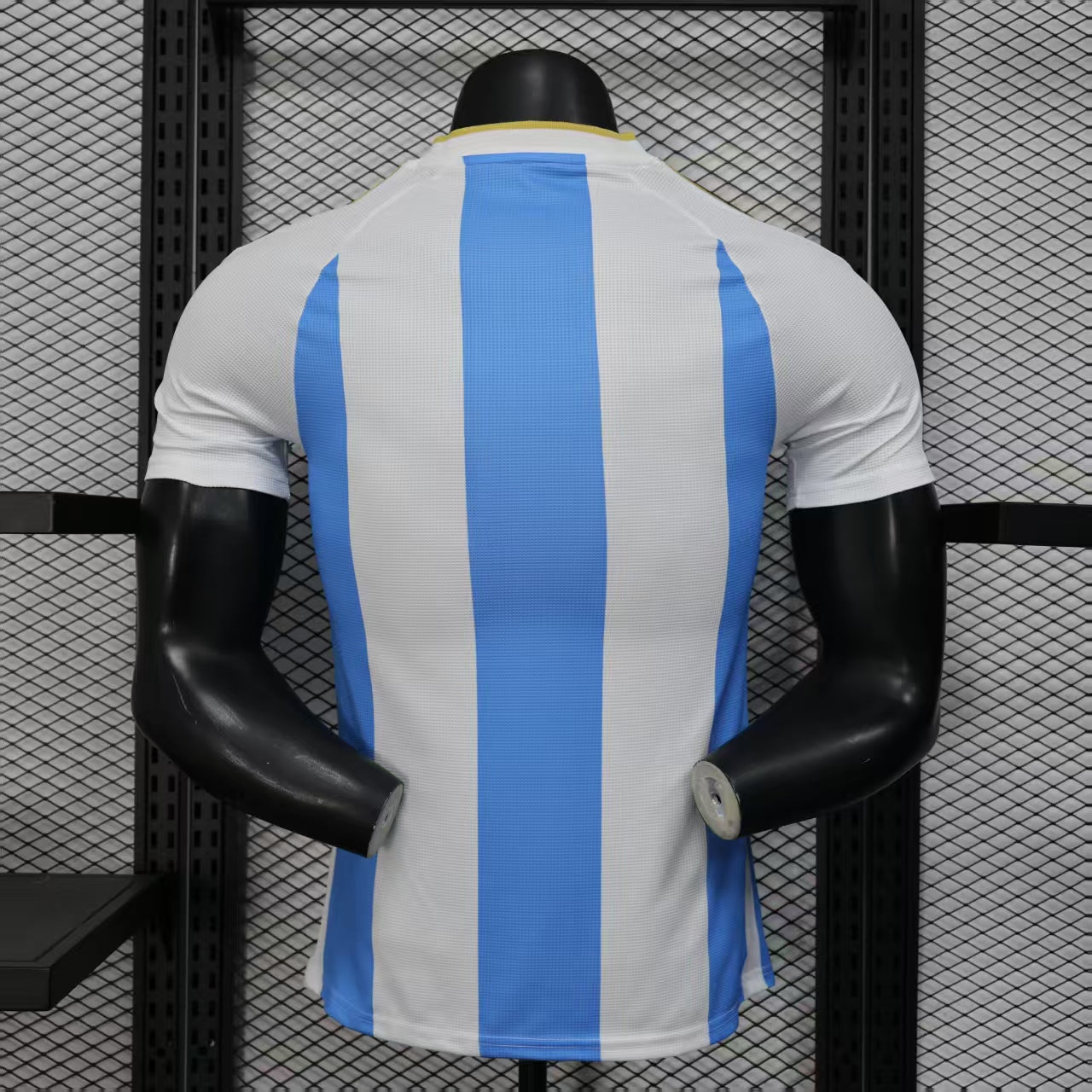2025-26 Argentina Home Player