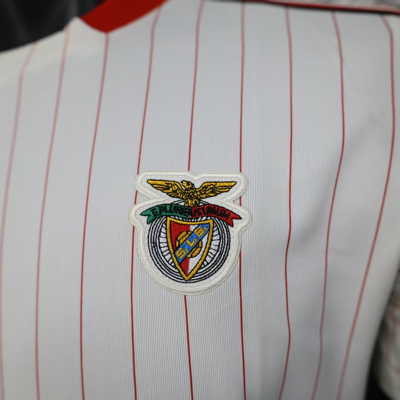 2025-26 Benfica Casual Style Player