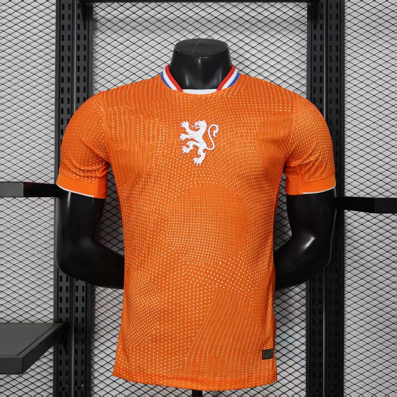 2025-26 Netherlands Home Player