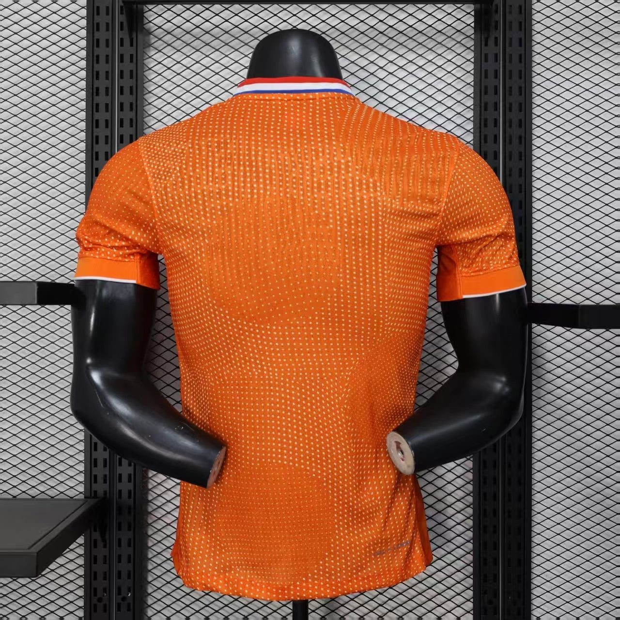 2025-26 Netherlands Home Player