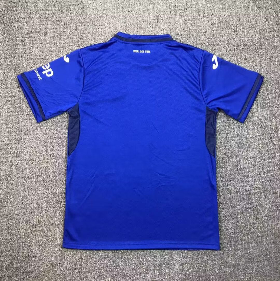 2024-25 hoffenheim Home